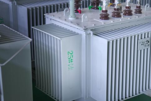 1000 kVA Oil-Immersed Transformer